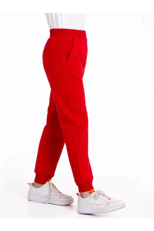 Baskısız Üç İplik Şardonlu Eşofman Altı 54902