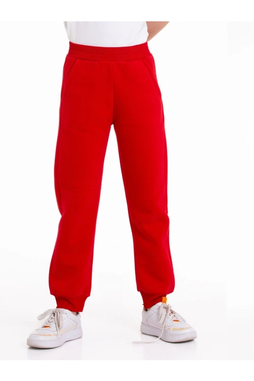 Baskısız Üç İplik Şardonlu Eşofman Altı 54903