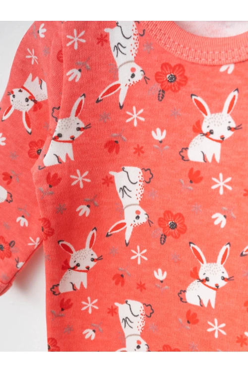 Çiçekli Tavşan Desenli 2Li Uzun Kol Çıtçıtlı Body 9692