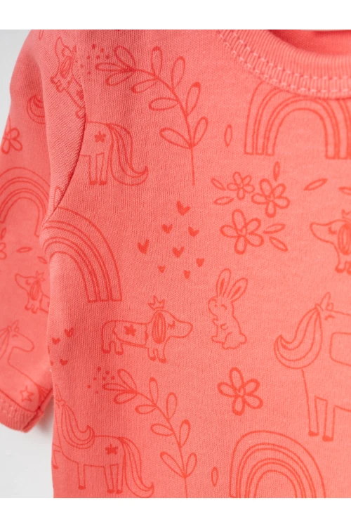 Desenli 2li Uzun Kol Çıtçıtlı Body 9698