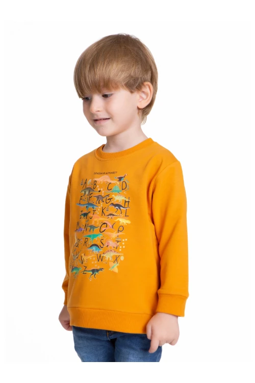 Dinazor Baskılı Erkek Bebek Sweatshirt 54264