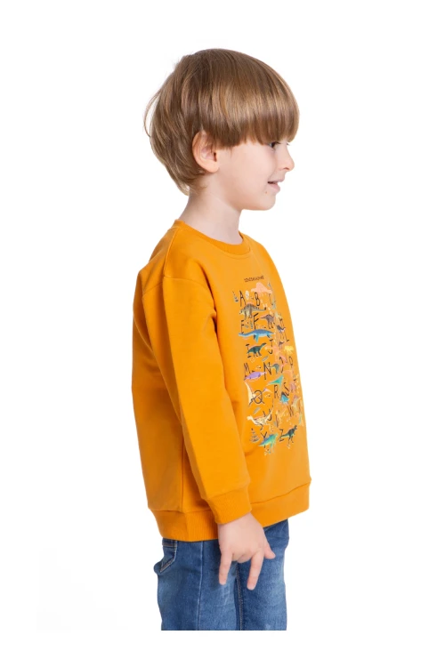 Dinazor Baskılı Erkek Bebek Sweatshirt 54264