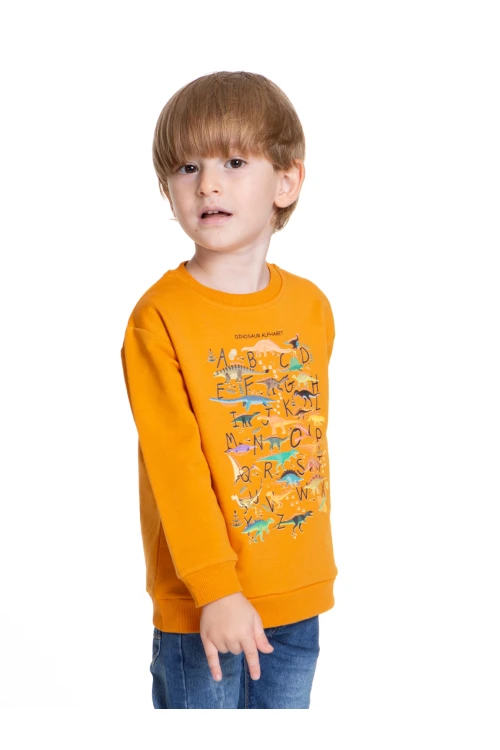 Dinazor Baskılı Erkek Bebek Sweatshirt 54264