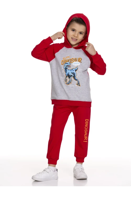 Dinazor Baskılı Takım 51209