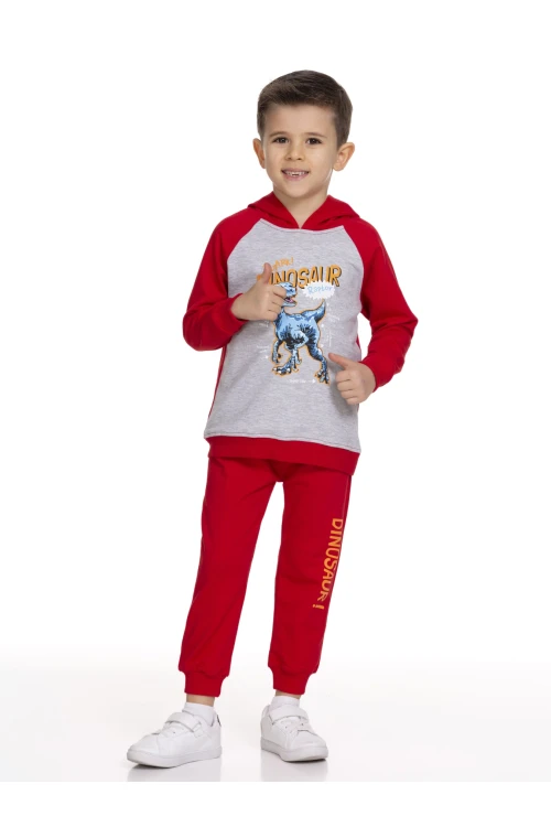 Dinazor Baskılı Takım 51209