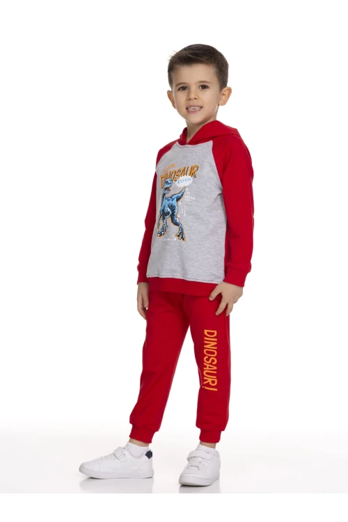 Dinazor Baskılı Takım 51209