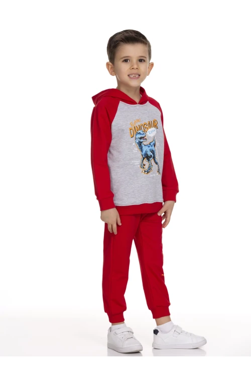 Dinazor Baskılı Takım 51209