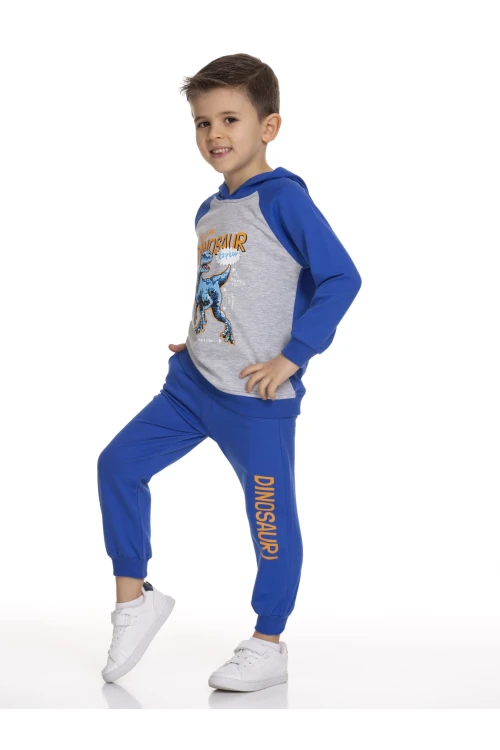 Dinazor Baskılı Takım 51209