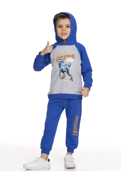 Dinazor Baskılı Takım 51209