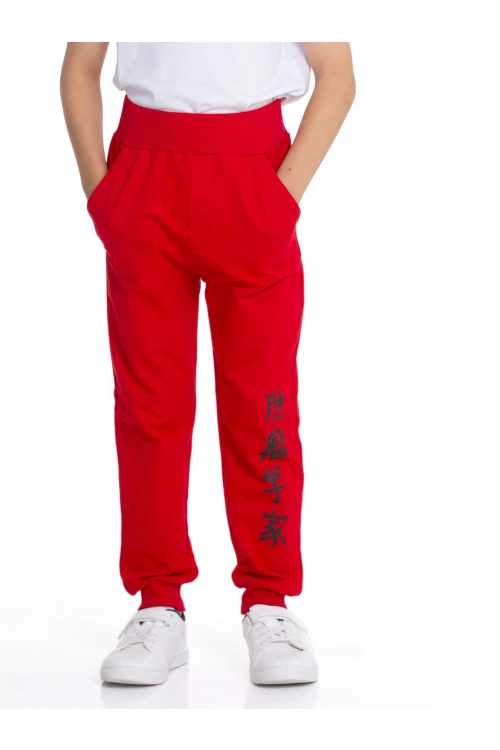 Baskılı Eşofman Altı 54901