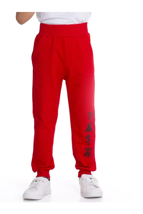 Baskılı Eşofman Altı 54901