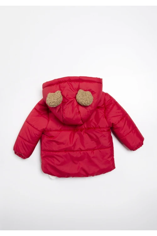 Cebi Ayı İşlemeli Erkek Bebek Mont 22308