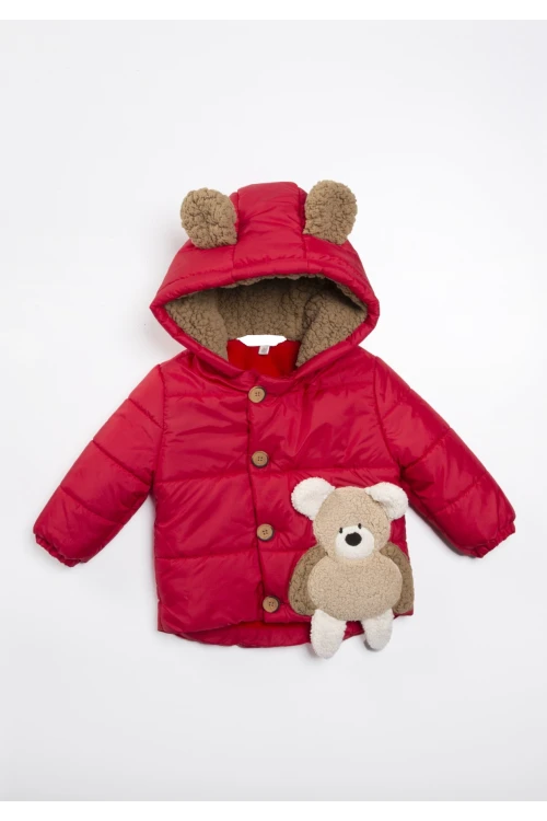 Cebi Ayı İşlemeli Erkek Bebek Mont 22308