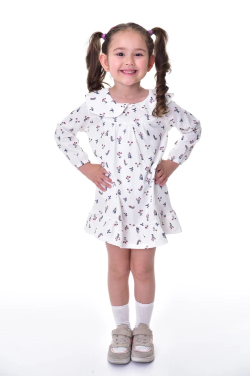 Çiçek Desenli Yakalı Elbise 24012