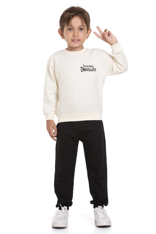 Dinazor Baskılı Takım 74101