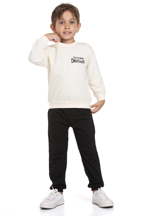 Dinazor Baskılı Takım 74101