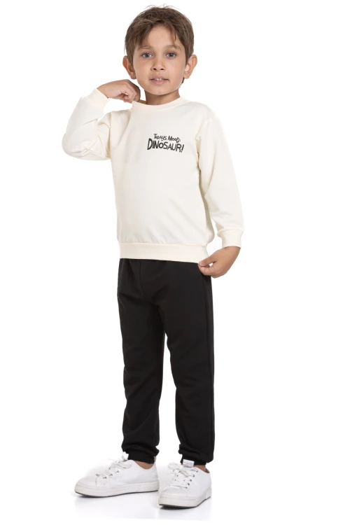 Dinazor Baskılı Takım 74101