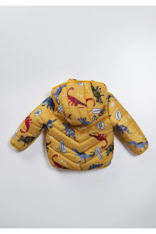 Dinazor Desenli Erkek Bebek Mont 22313