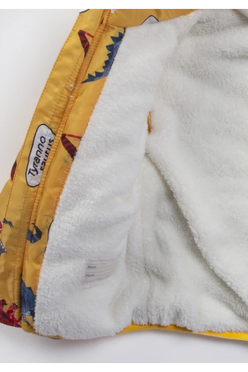 Dinazor Desenli Erkek Bebek Mont 22313