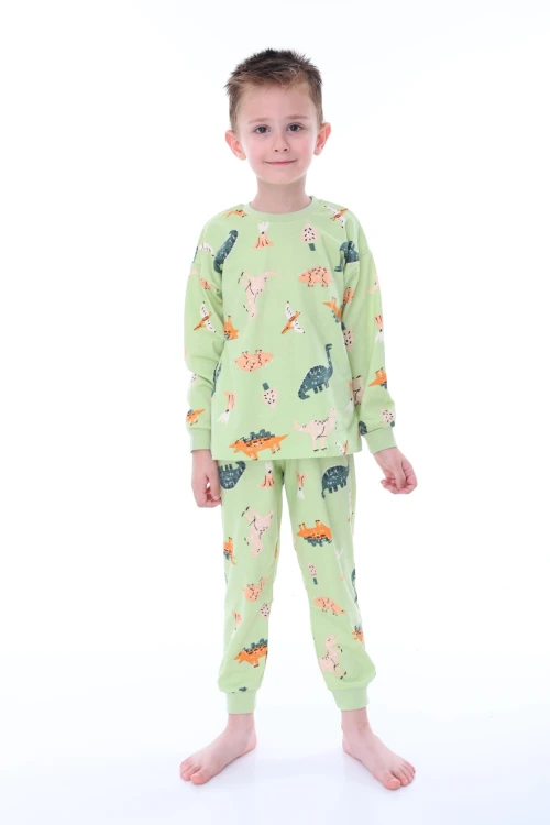 Dino Desenli Erkek Çocuk Pijama Takımı 32220