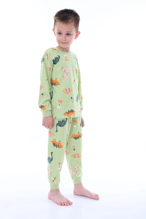 Dino Desenli Erkek Çocuk Pijama Takımı 32220