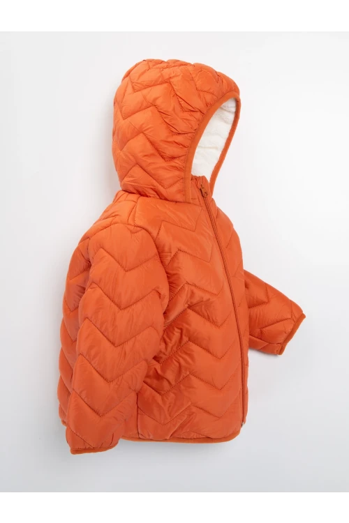 Kapşonlu Erkek Mont 51327