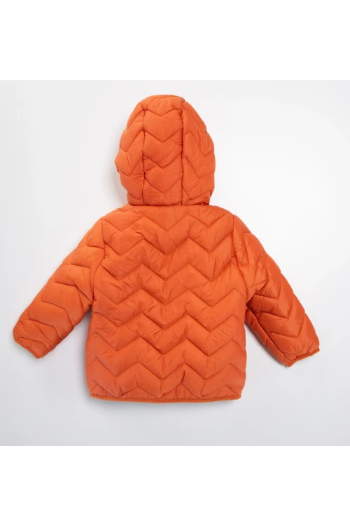 Kapşonlu Erkek Mont 51327