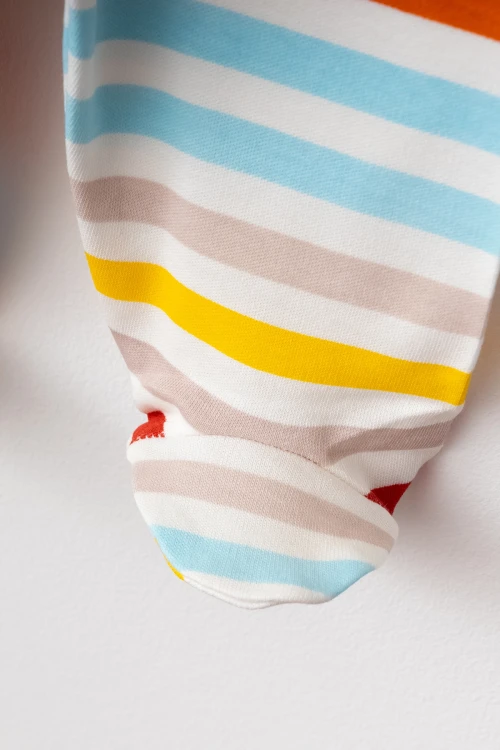 Tren Baskılı Erkek Bebek 5li Set 3001