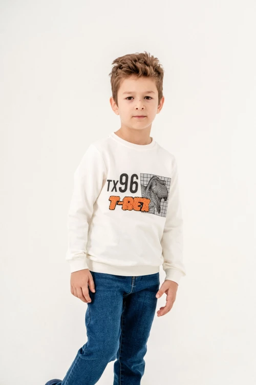 Tx 96 T-rex Baskılı Sweat 11902