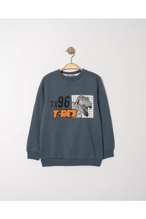 Tx 96 T-rex Baskılı Sweat 11902