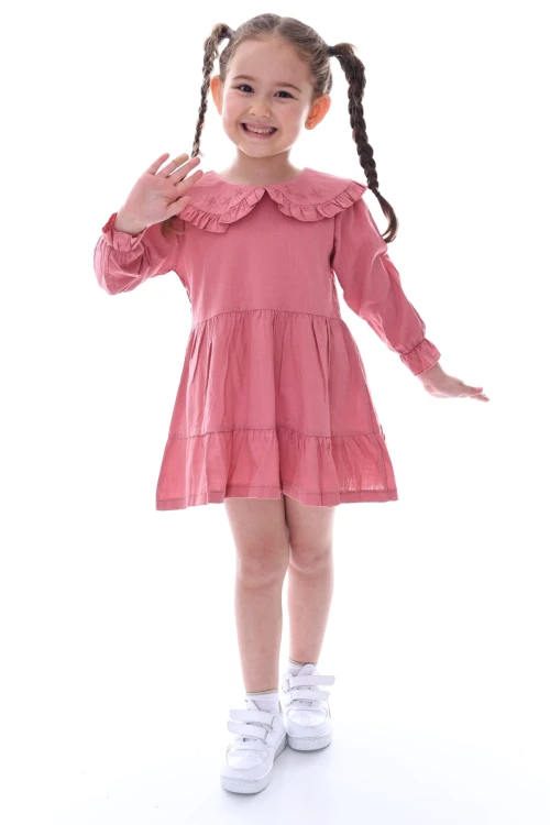 Yakası İşlemeli Fırfırlı Elbise 24030