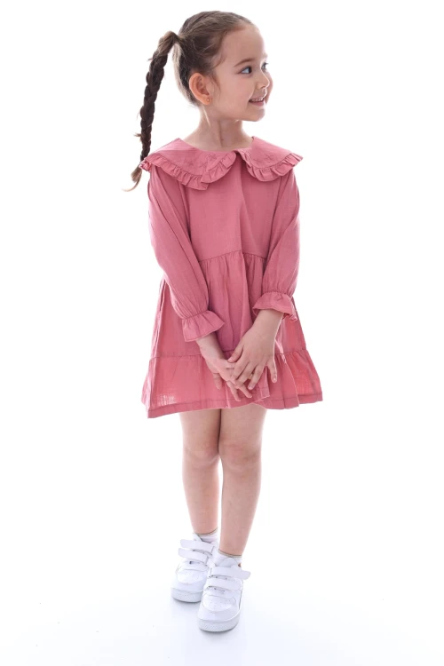 Yakası İşlemeli Fırfırlı Elbise 24030