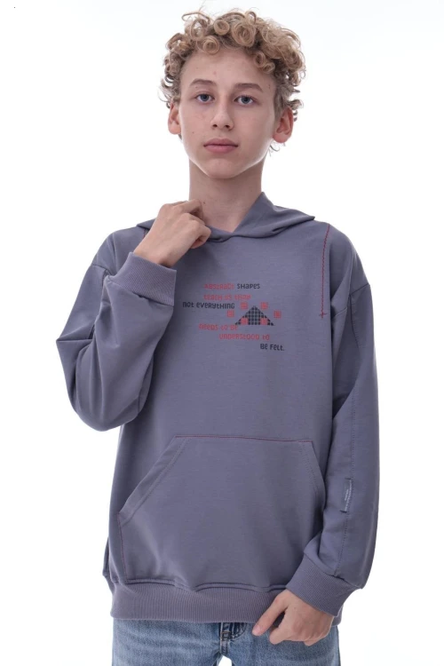 Baskılı Kapşonlu Erkek Çocuk Sweat 2015