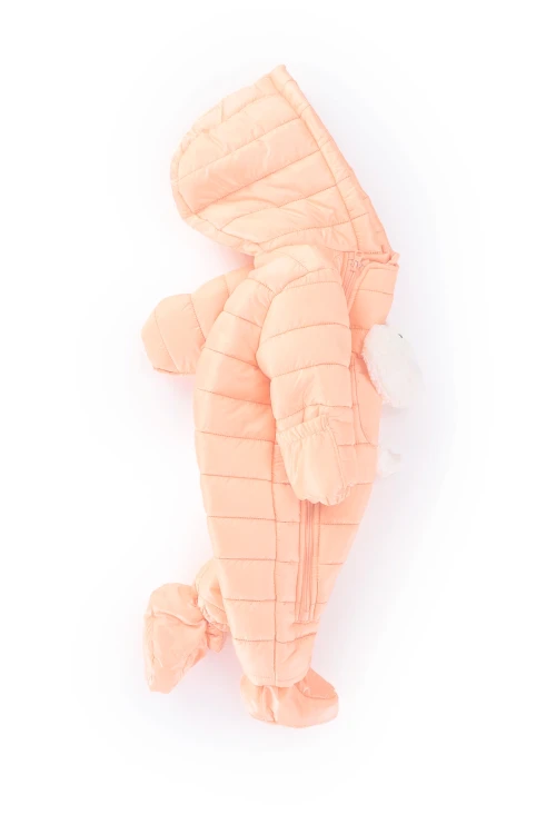 Tavşanlı Kozmonot Astronot Mont 21651