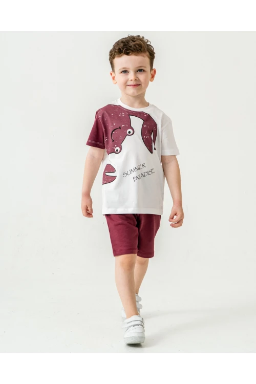 Yengeç Baskılı Erkek Çocuk Takım 50306