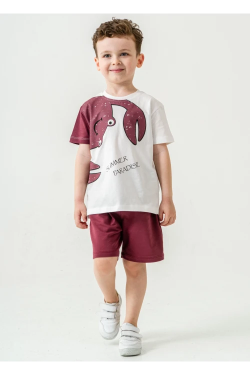 Yengeç Baskılı Erkek Çocuk Takım 50306